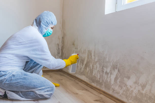 Licensed Mold Inspection And Testing service in Carrboro, NC - Mold Remediation HQ