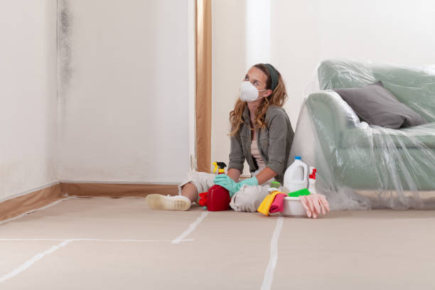 Reliable Mold Inspection And Testing contractor in Carrboro, NC by Mold Remediation HQ